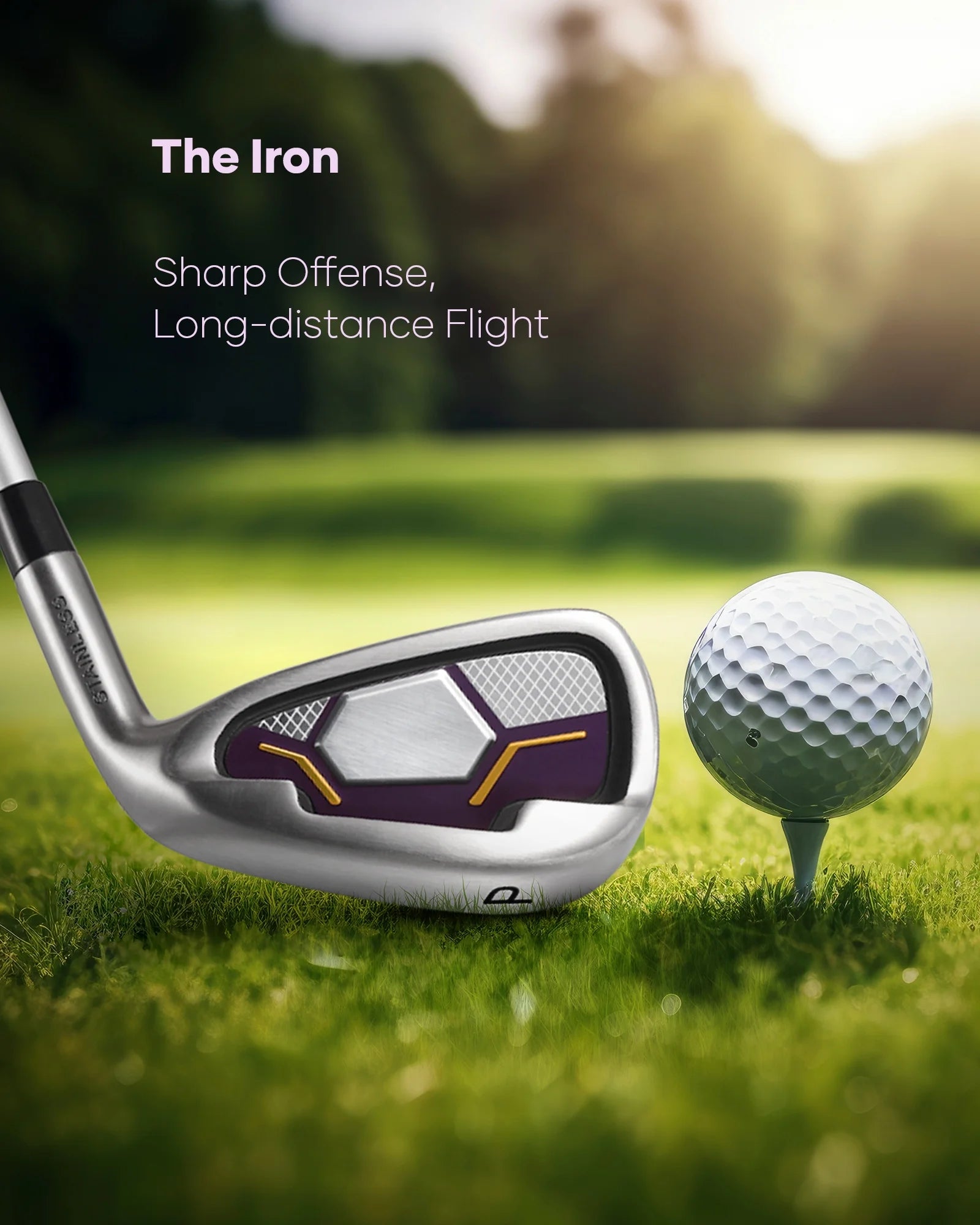 Complete Golf Clubs Package 8 Club Set for Men Woman Right Handed True Temper Steel Shafts Putter Stand Bag and 3 H C Bonus Head